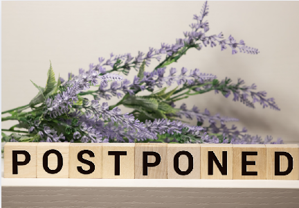 Your French Immersion Stay at CAVILAM Alliance Française